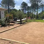 Ribba Di San Gavino * Gialla