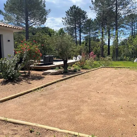 Ribba Di San Gavino * Gialla